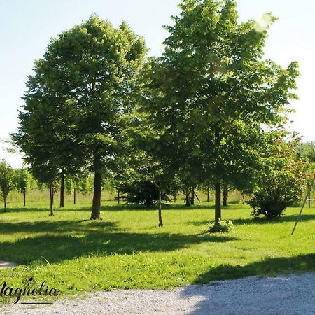 Ca'Magnolia Villa Treviso Dış mekan fotoğraf
